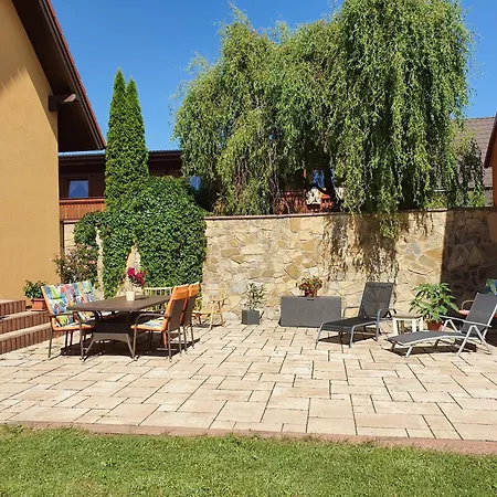 Andrea הרבוצ'יסה