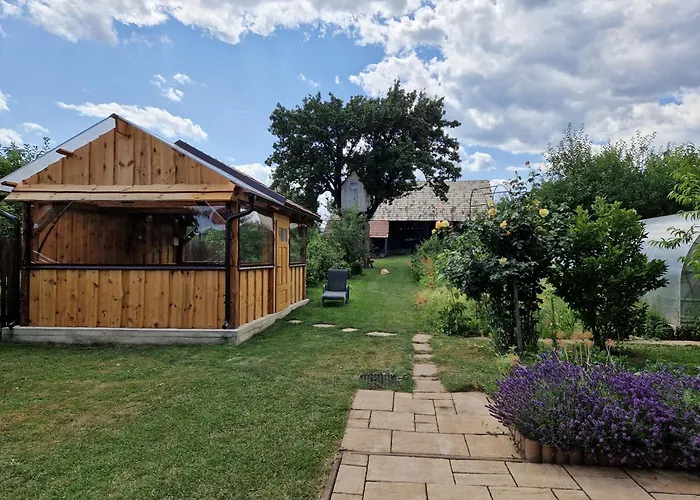 Andrea Daire Hrabušice